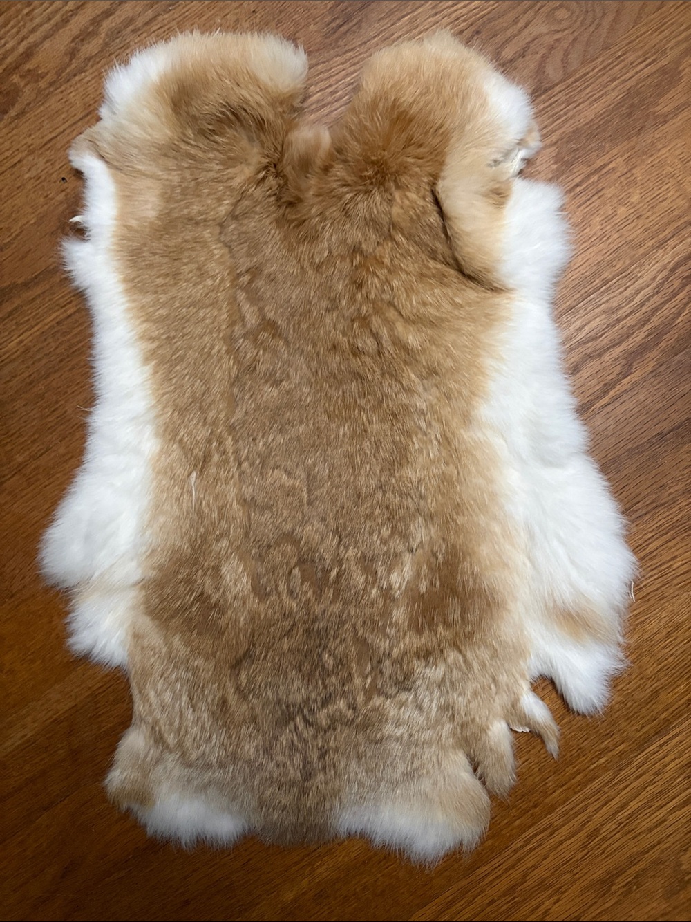 0695 rabbit pelt craft decor